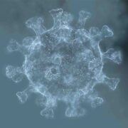 Korona ve Sonrası Dünyanın Haline Politik Bir Bakış